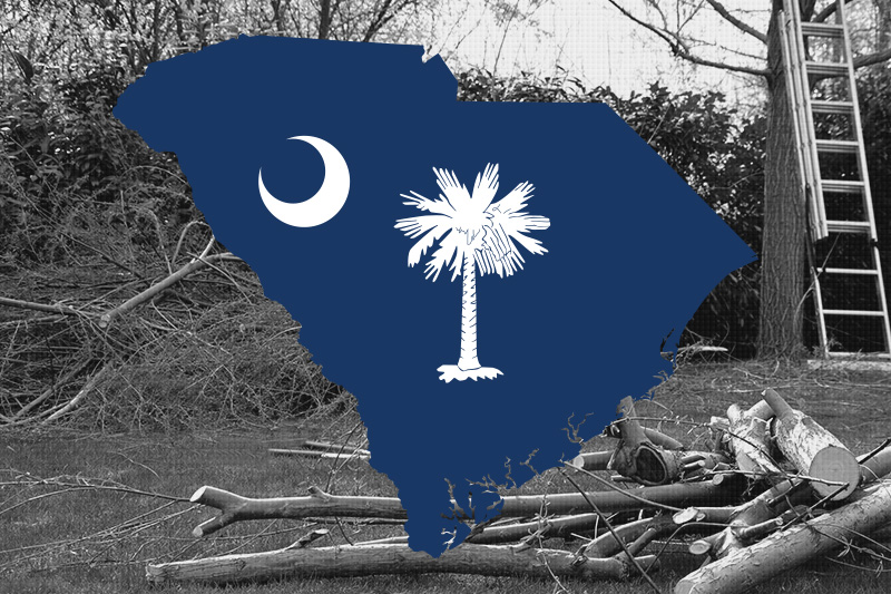 Your Premier Tree Service Company in South Carolina